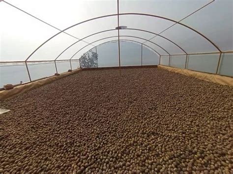 Image result for Poly House Profile Spring