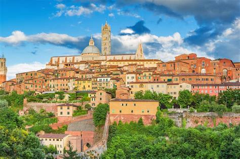 Image result for Python Siena