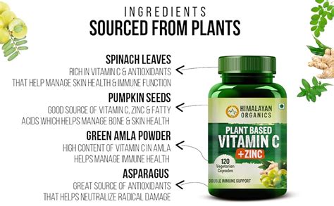 Himalayan Organics Plant Based Vitamin C with Zinc (120 Capsules) as ...