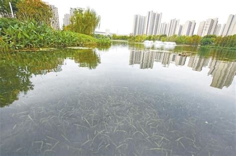 安徽芜湖：水清岸绿 旖旎如画-人民图片网