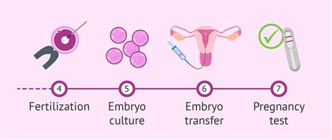 Image result for IVF Process Explained