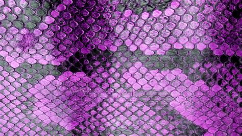 Image result for Facts Python Purple