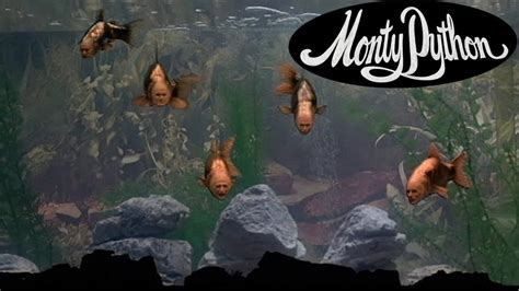Image result for Monty Python Fish Tank Sketch