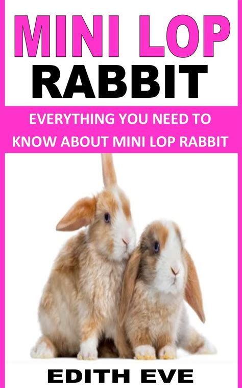 Buy MINI LOP RABBIT: EVERYTHING YOU NEED TO KNOW ABOUT MINI LOP RABBIT ...