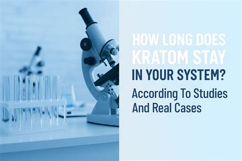 How Long Does Kratom Stay In Your System? Key Facts Revealed And Real Cases