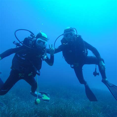 CIP BENDOR (2026) All You Need to Know BEFORE You Go (with Photos ...