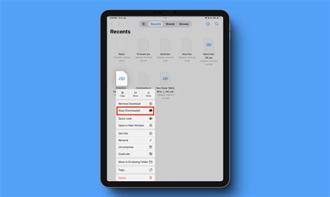 Image result for How to Download Files On iOS