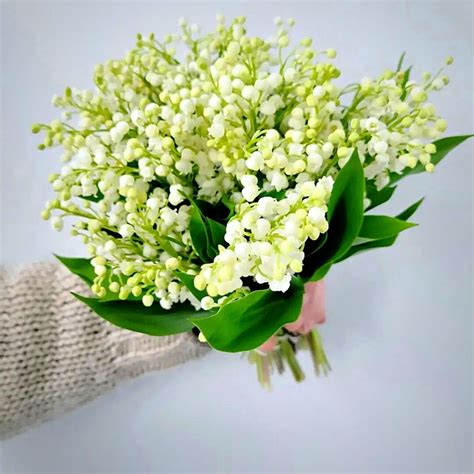 May Birth Flower: The Delicate and Fragrant Lily of the Valley - Article...