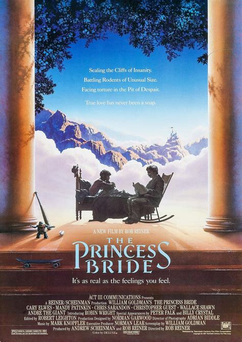 Image result for Princess Bride Remake