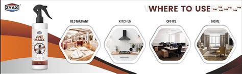 Zyax Ant Maxx 250ml, Herbal & Non-Toxic Ant Repellent Spray, Natural ...