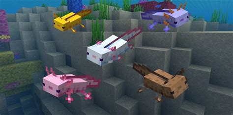 Image result for Minecraft Axolotl Farm Tutorial