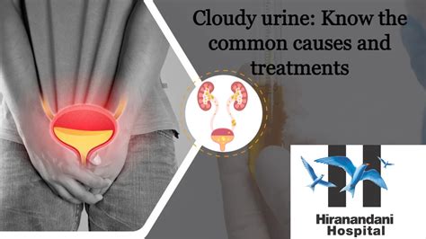 Cloudy urine: Know the common causes and treatments