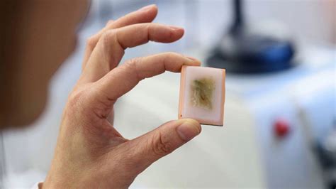 Tissue Processing Procedure 的图像结果