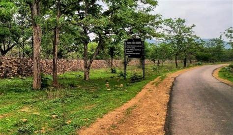No Development, No Employment: Panna Tiger Reserve Is a Curse ...