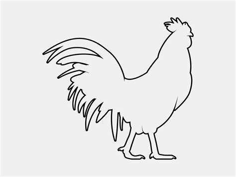 Chicken Outline