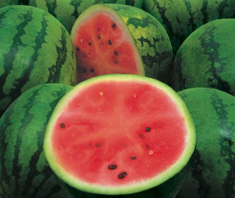 Watermelon Man Backing 的图像结果