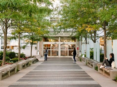 Overview | Institute for Neuroimmunology and Inflammation | Albert ...