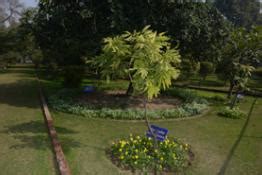 The Gardens | Welcome to RASHTRAPATI BHAVAN - The Office and Residence ...