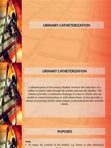 Image result for Catheterization Process