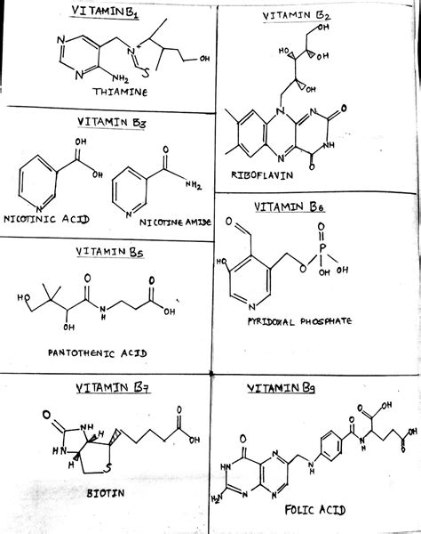 Vitamin B complex: Structure, coenzyme forms and Biological roles - Online Biology Notes