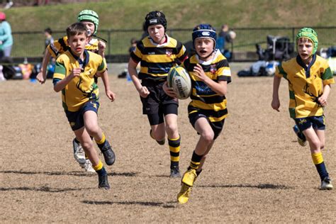 Image result for Wolves Balmain