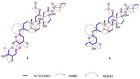 Identification of C21 Steroidal Glycosides from Gymnema sylvestre (Retz ...