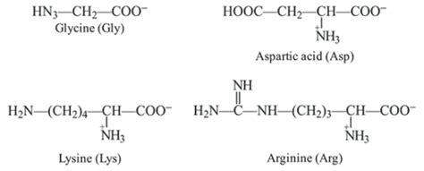 The increasing order of pKa of the following amino acids in aqueous ...