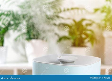 The Ultrasonic Humidifier Releases Cold Steam. Care and Hydration of Plants in Dry Air Stock ...