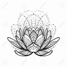 disegni fiore di loto realistic lotus flower drawing at getdrawings free disegni fiore di loto realistic lotus flower drawing at getdrawings free