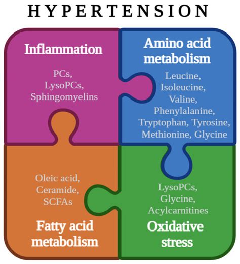 Understanding Hypertension: A Metabolomic Perspective