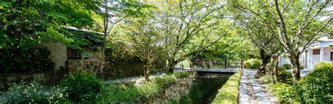 Kyoto’s Weather in June: Travel Tips for the Rainy Season