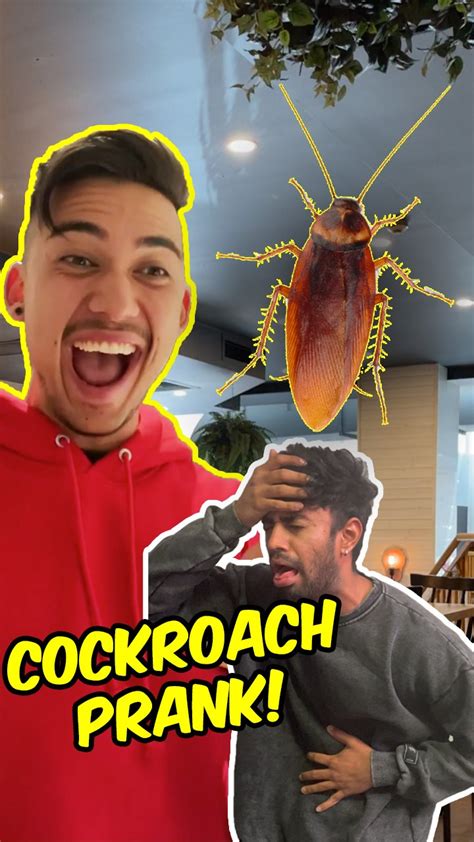 Image result for Cockroach Prank Videos