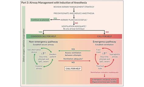 2022 ASA Difficult Airway Algorithm: What’s New? | APEX Anesthesia | Board Review, CRNA ...