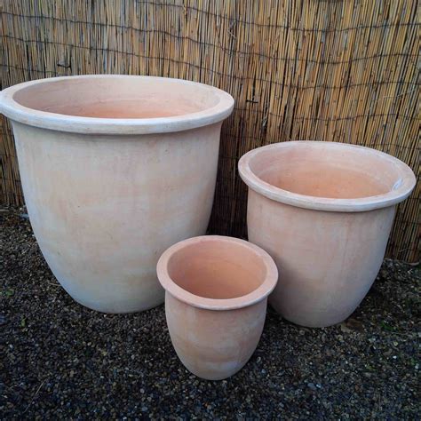 What To Plant In Big Terracotta Pots at Zena Flores blog