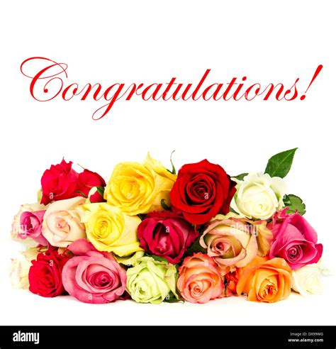 Top 999+ congratulations flowers images – Amazing Collection congratulations flowers images Full 4K