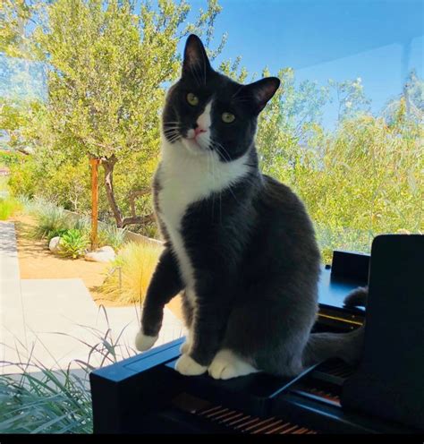 Mandy Moore House Tour: Photos of Pasadena Home | Closer Weekly