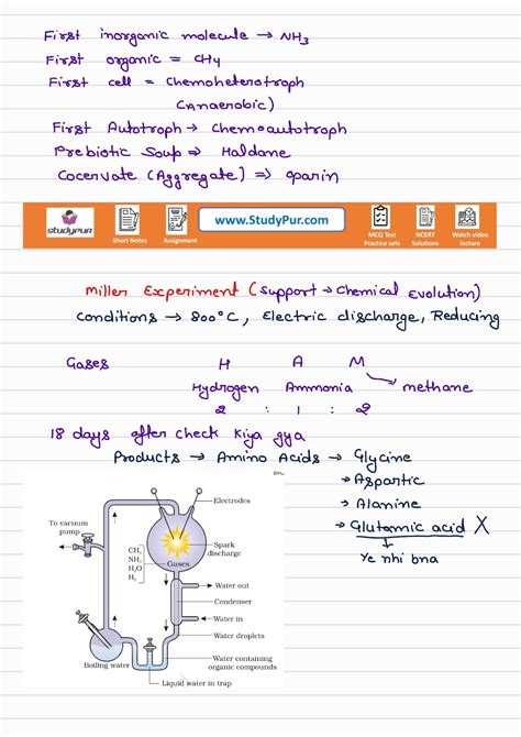 Image result for Evolution Class 12 Chap Animation