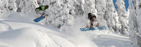 Lib Tech Snowboard Review 的图像结果