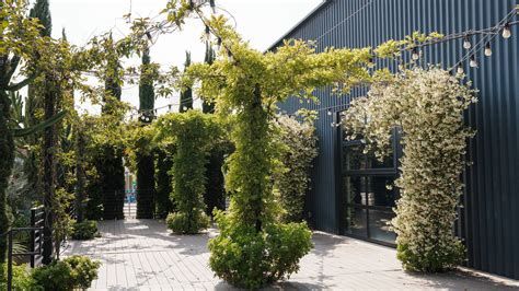 Events | DTLA Sapces – Rolling Greens