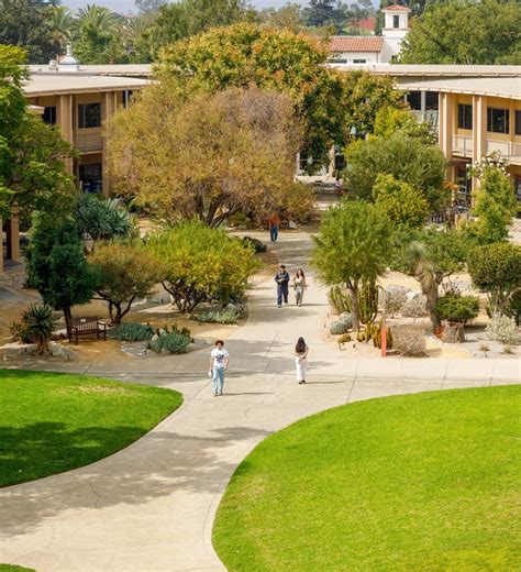 Common Data Sets | Pitzer College