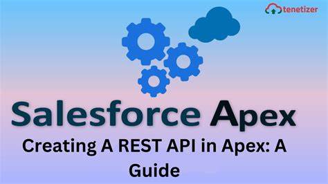 Image result for How to Apply API in Apex