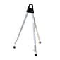 Testrite Visual Products, Inc. Basic Table Easel, 13", Aluminum (66752 ...