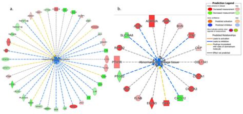 Anti-Inflammatory and Chondroprotective Effects of Vanillic Acid and ...