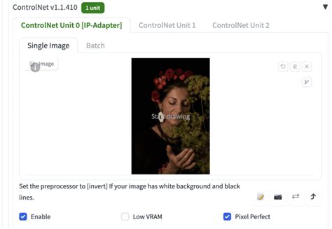 Image result for Style Two Image in Control Net