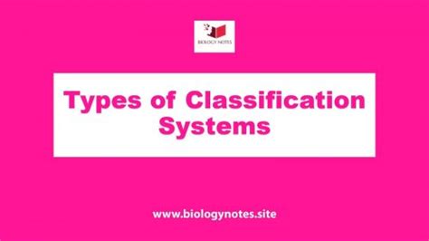 Image result for Classification System Examples