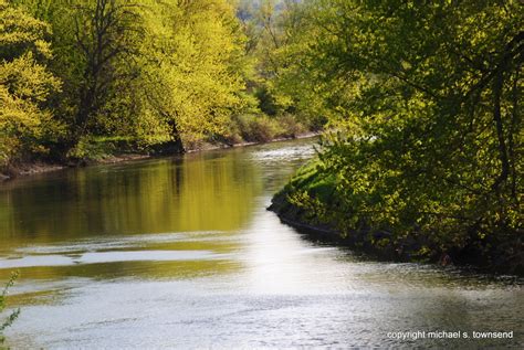 Image result for River Table Project