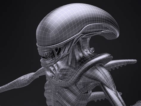Alien Xenomorph 3D Model 的图像结果