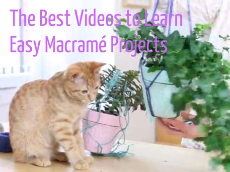 Image result for Best Macrame Videotutorial