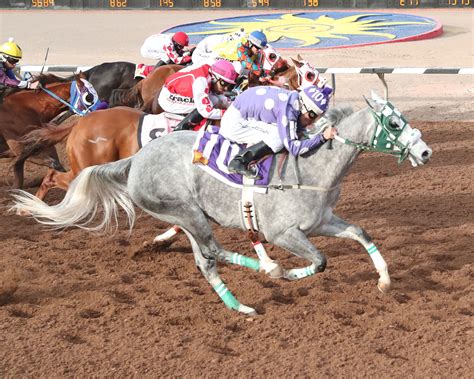 Reddam Racing's Pavlovian Gets the Nod in the Sunland Derby