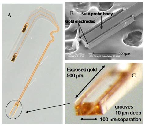 Biocompatibility of SU-8 and Its Biomedical Device Applications